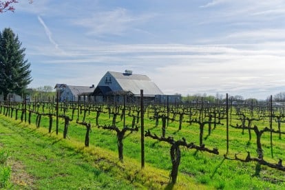 Abeja Inn and Winery, Walla Walla