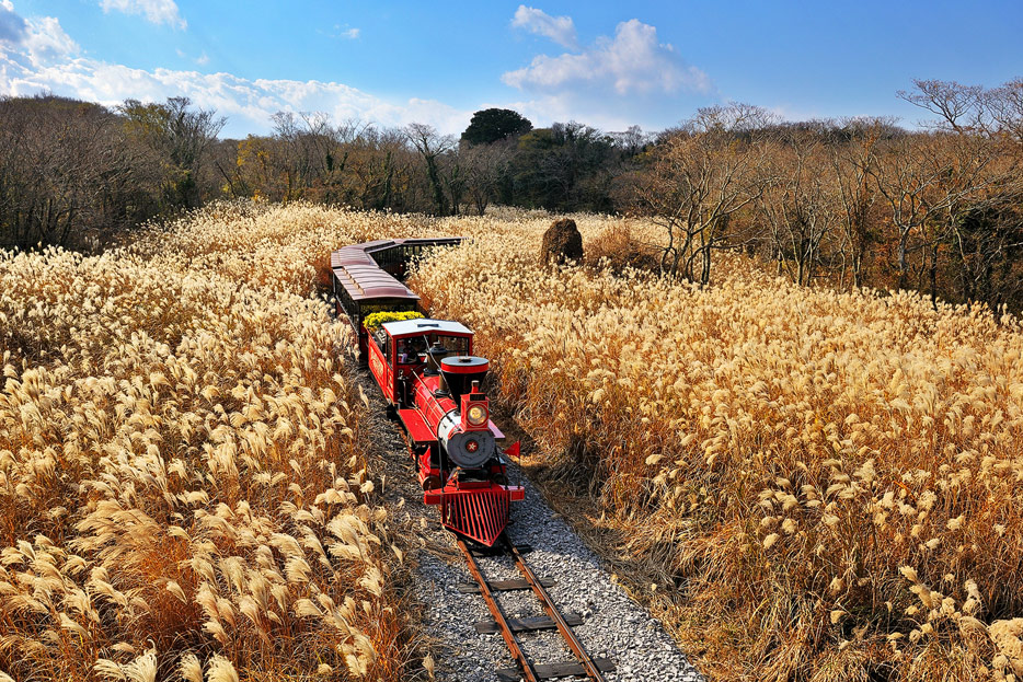 mit dem Zug durch Jeju