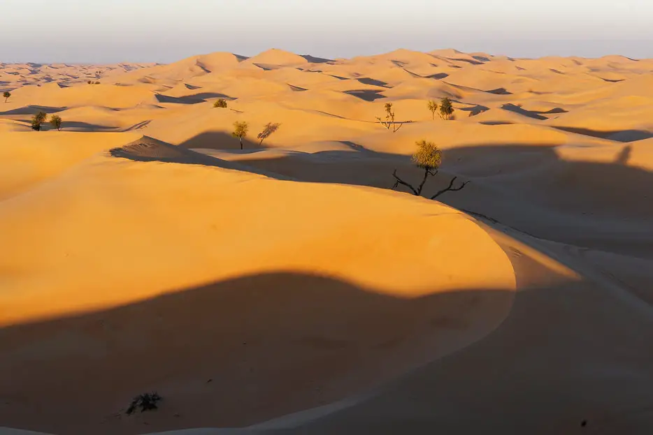 Wüste rund ums Camp