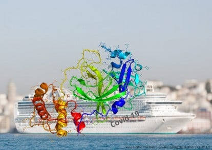 Juristische Fragen zu Covid-19 Coronavirus in der Kreuzfahrt (Bild: Christian C. Gruber Georg Steinkellner / CC BY 4.0 https://creativecommons.org/licenses/by/4.0)