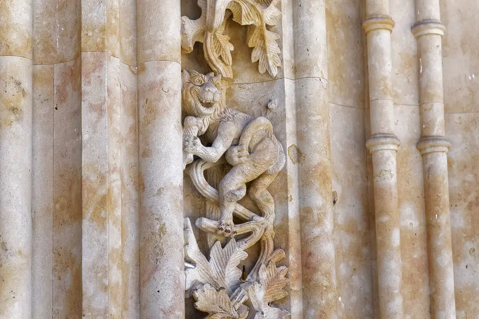 eisschleckender Löwe in der Fassade der Kathedrale
