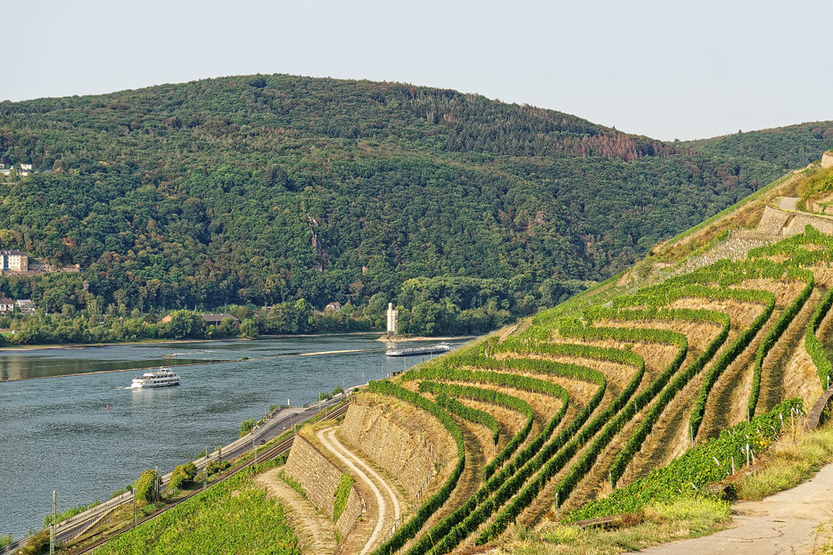 Blick auf Weinberge, Rhein und den Binger Mäuseturm