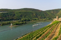 Binger Mäuseturm, Rhein, Burgruine Ehrenfels