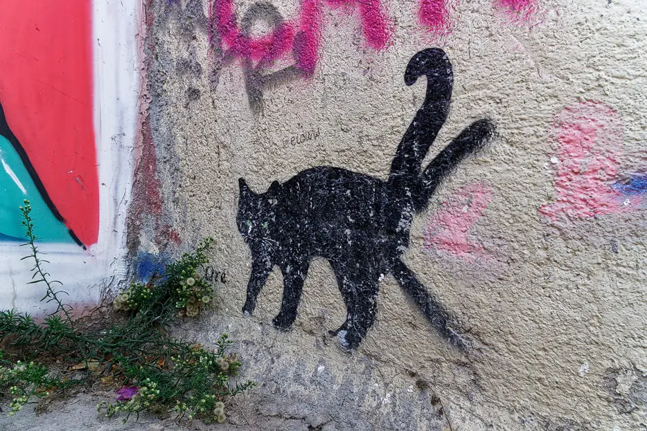 Katzen-Graffiti in der Altstadt