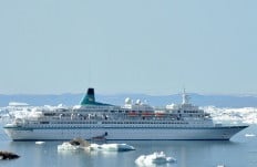 Albatros (Bild: Phoenix Reisen)