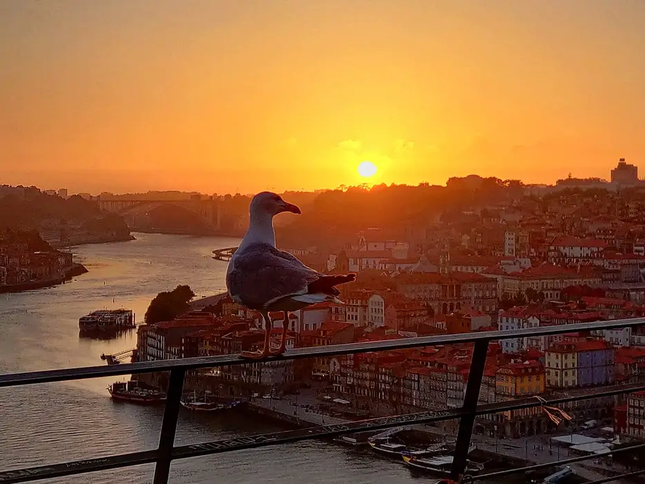 Sonnenuntergang in Porto