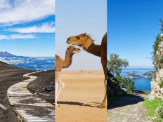 Meine besten Reise-Fotos 2020