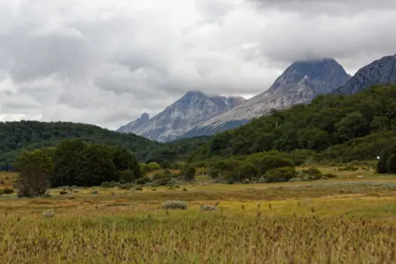 Landschaft außerhalb von Ushuaia