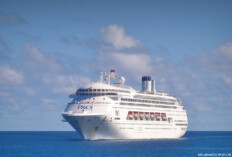 Ambassador Cruise Line sagt Weihnachts- und Silvester-Kreuzfahrt kurzfristig ab