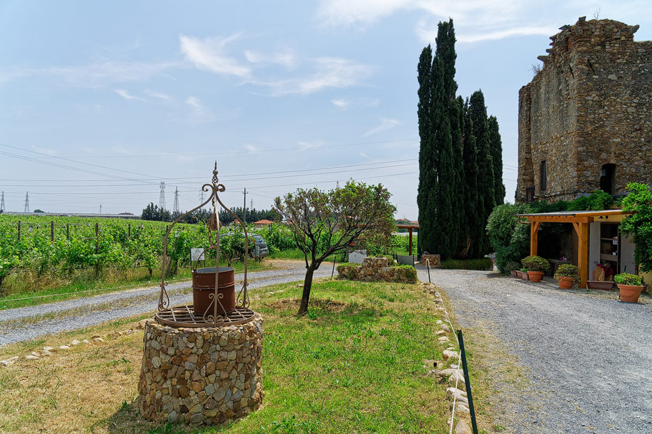 Weingut Torre Pernice, Albenga