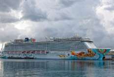 Eskalation im Neustart-Streit in den USA: Norwegian Cruise Line Holdings verklagt Florida