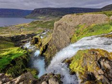 Isafjordur: Delfine, Fjorde und der mächtige Dynjandi-Wasserfall