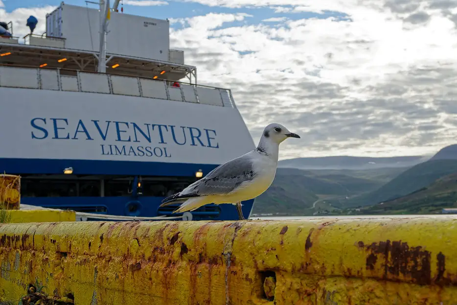 Seaventure in Akureyri