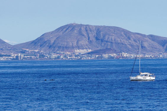 Walsichtung vor Teneriffa