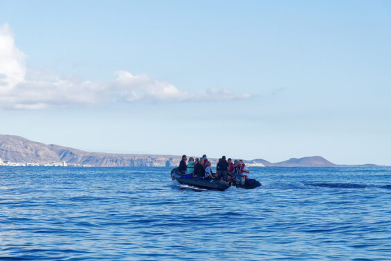 Foto-Safari mit dem Zodiac