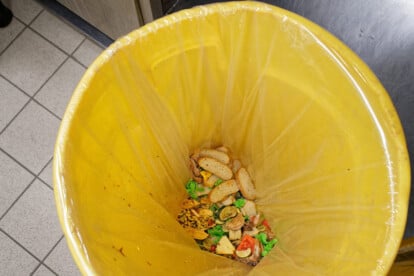 Food Waste am Kreuzfahrtschiff