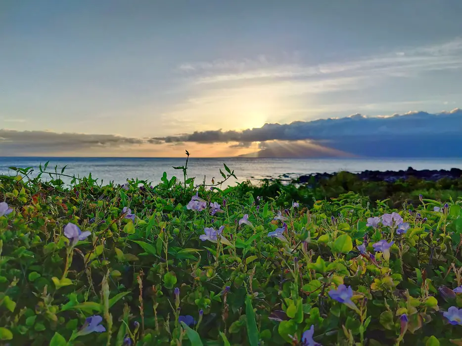 Sonnenuntergang in Maui