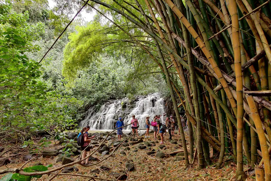 Bamboo Falls, kauai