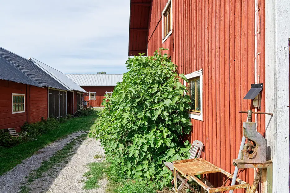 Lilla Bjers Farm