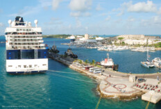 Reedereien sagen Bermuda-Anläufe wegen Corona-Testpflicht ab