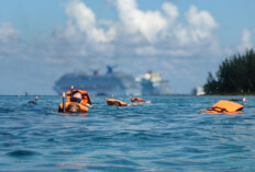 Kreuzfahrt-Passagierin bei Hai-Attacke auf den Bahamas getötet