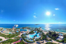 Coco Cay: Royal Caribbeans „Perfect Day“-Privatinsel in den Bahamas