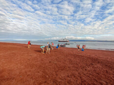 Isla Rabida: Ein roter Strand, gegen den sogar die Flamingos verblassen