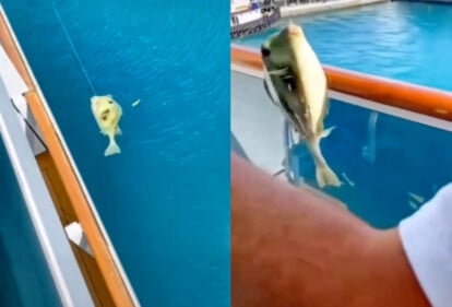 Angeln vom Balkon eines Carnival-Kreuzfahrtschiffs