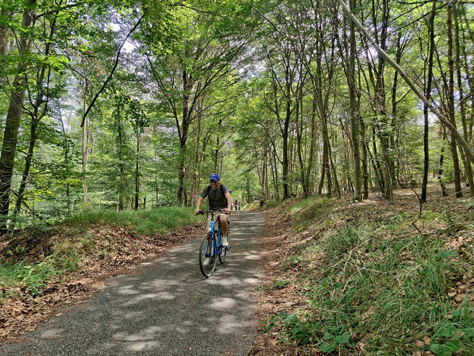 Wald von Fontainebleau