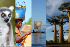 Madagaskar (Bilder: Mathias Appel, Stephan Waeber, Frontierofficial, Frank Vassen - CC BY 2.0 DEED)