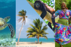 Teaser: Le Dumont D'Urville Honduras Belize (Bilder (v.l.): Matthew Keenan, Renée Johnson, Chuck Adolino, maisa_nyc - CC BY-SA 2.0 DEED)