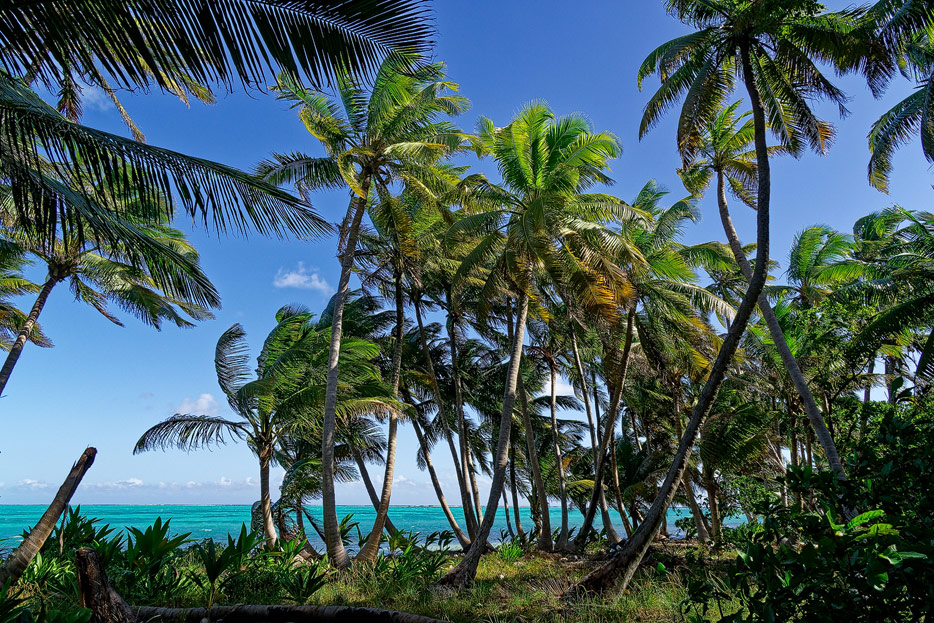 Half Moon Caye, Belize