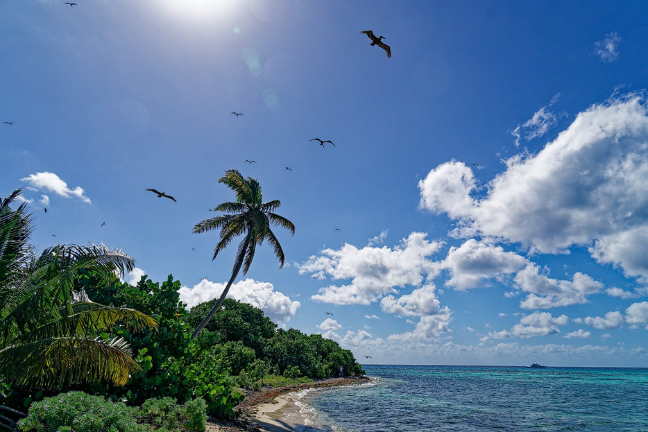 Half Moon Caye, Belize
