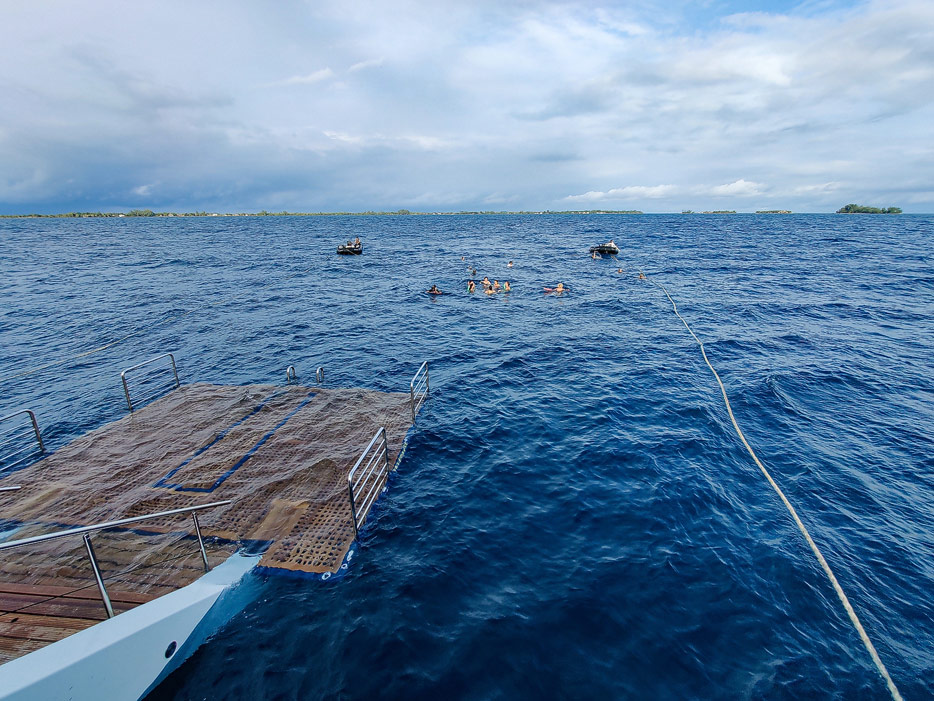Marina-Badeplattform der Le Dumont D'Urville
