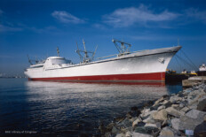 SH Savannah