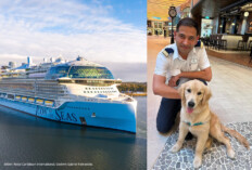Hund "Rover" auf der Icon of the Seas (Bilder: Royal Caribbean, Godwin Gabriel Fernandes)