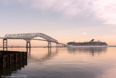 Kreuzfahrtschiff, Brücke in Baltimore (Bild: Patrick Gillespie, CC BY 2.0 DEED)