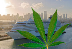 Cannabis am Kreuzfahrtschiff