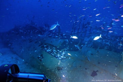 Wrack der Titania vor Alejandro Selkirk Island