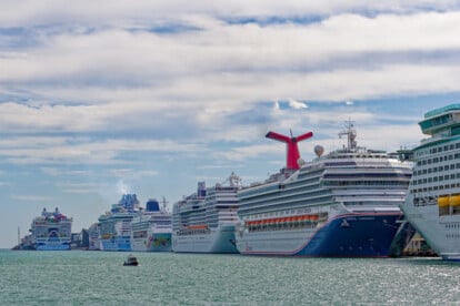 Kreuzfahrthafen Port of Miami, Kreuzfahrtschiffe