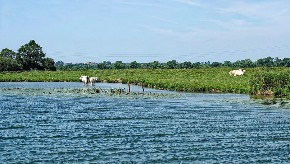 unterwegs auf der Saone