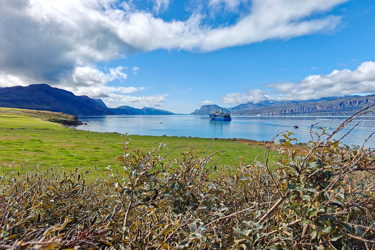 Ocean Albatros in Itilleq