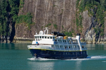 National Geographic Sea Lion