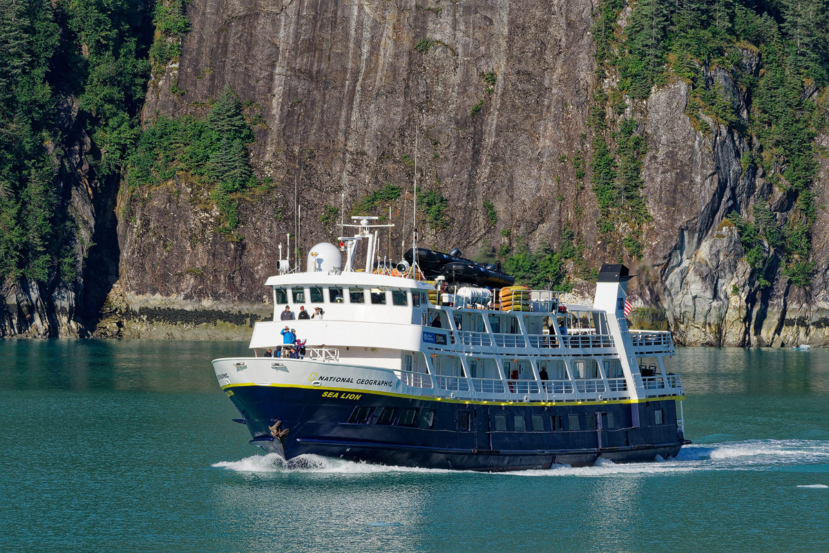 National Geographic Sea Lion