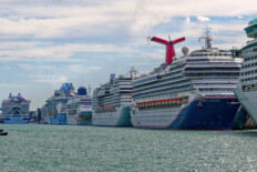 Symbolbild, viele Kreuzfahrtschiffe in Hafen von Miami