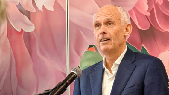 Nico Bleichrodt, Vice President International Sales & Marketing bei Holland America Line