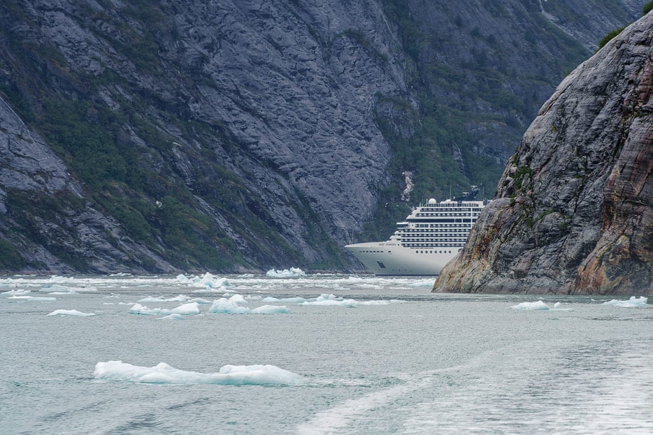 MSC Poesia im Endicott Arm Fjord