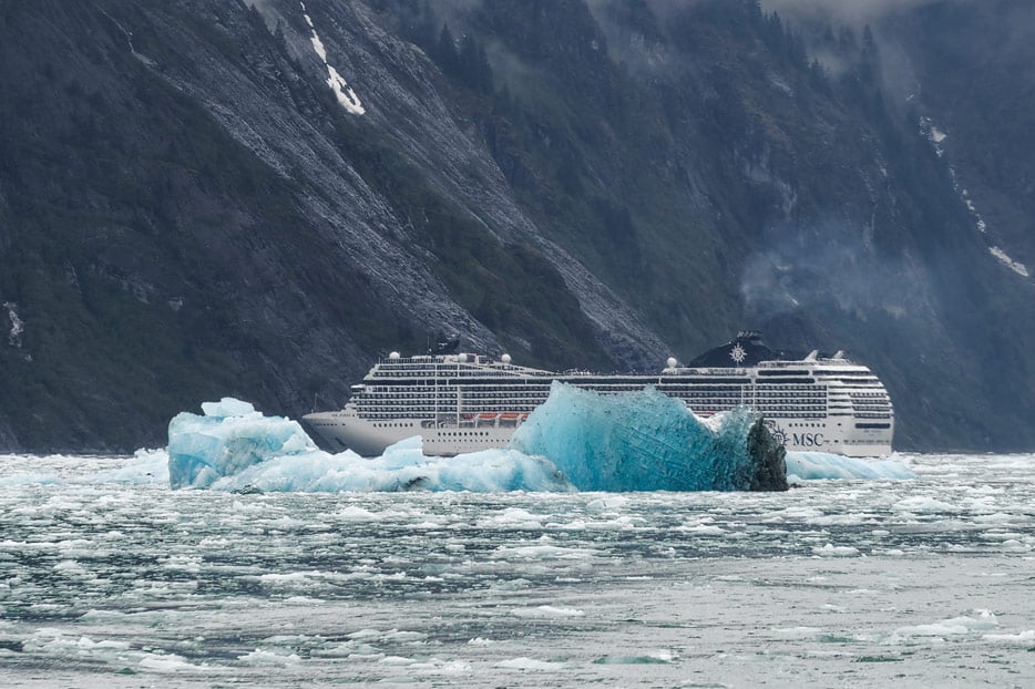MSC Poesia im Endicott Arm Fjord