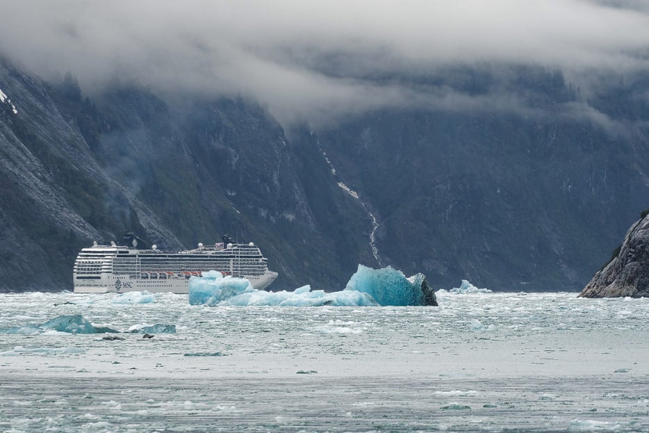 MSC Poesia im Endicott Arm Fjord
