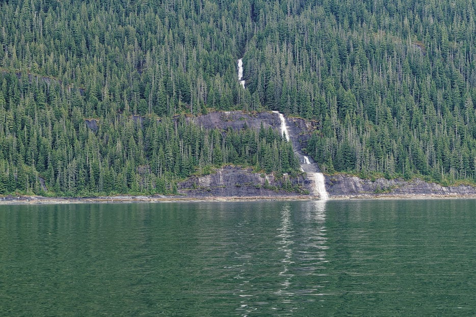 Buckelwal im Endicott Arm